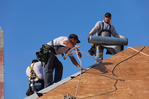 Best Shingle Roofing Installation  in East Quincy, CA